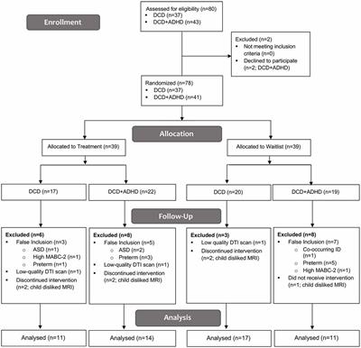 White Matter Changes With Rehabilitation in Children With Developmental Coordination Disorder: A Randomized Controlled Trial